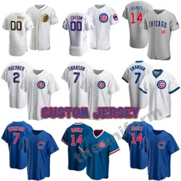 Custom Size S-7XL Chicago 7 Dansby Swanson 2 Nico Hoerner 14 Ernie Banks 23 Ryne Sandberg Baseball Jersey Cubs Men Women Youth Stitched