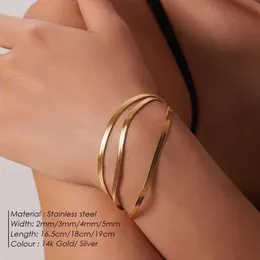 Kedjekvinnor Trend Classic Snake Chain Armband Gold Wide 2/3/4/5mm rostfritt stålkedja armband som används för kvinnors smycken gåvor Q240401