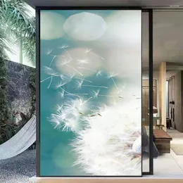 ملصقات نافذة PVC PRIVACY FILM BLOWBALL نمط لا غراء ثابت الكهرباء باب الكهرباء FLIM FROSTER SUNINGING WINDOWS NOWSE