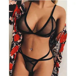 2023 nova chegada feminina sexy renda lingerie sutiã breve conjuntos de malha erótica ver através de lingerie feminina roupa interior