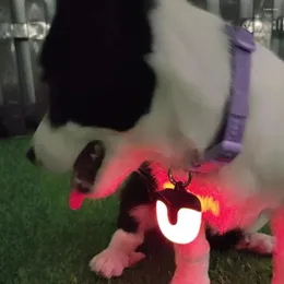 Dog Apparel Rainproof Collar Light Buckle Design Waterproof Usb Rechargeable 360 Degree For Night