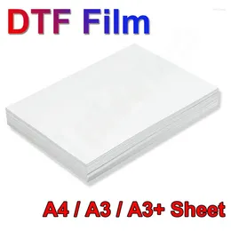 Ink Refill Kits DTF PET Film For Printer R1390 L1800 DX5 A4 Direct To Transfer Printing Machine