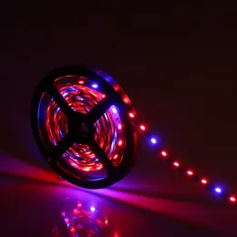 Tam Spektrum SMD5050 LED Grow Strip Işığı Süper Gereksiz LED Hidroponik Bitki Büyüyen Işık Büyüyen Lamba Büyüyen Kutu Kırmızı Mavi 4: 1 11 LL