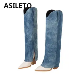 Botas Asileto New Fashion Tube Knee Knee Boots pontiagudo pontuado Blocas de salto de salto de salto zíper mais tamanho 3443 Blue Patchwork Winter S2654