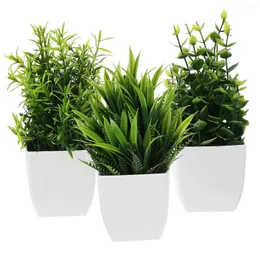 Dekorativa blommor 3 datorer Simulerade krukväxter Kontorsbord Mini Plants Green Fake PP Decors Desktop Adsmenments Artificial With Faux inomhus