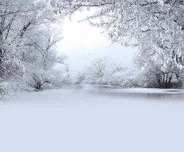 Schneebedeckte Bäume, gefrorener Fluss, Pografie-Hintergrund, Vinyl, Winter, malerische Tapete, Kinder, Kinder, Urlaub, Po-Shooting-Hintergrund fo8975864
