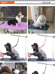 Hundhalsar Pet Beauty Table Hanging Rope Shearing Fixture Tillbehör Ståltråd