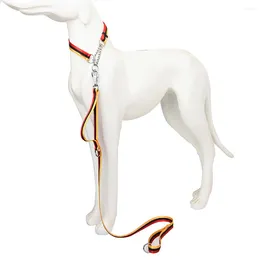 Hundehalsbänder, Kette, Martingalhalsband, Edelstahlmaterial, 150 cm, Nylon-Haustierleinen mit 1 oder 2 Griffen