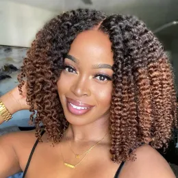 Wigs Wigera Short Ombre Hair Afro Kinky Curly Wig для чернокожих женщин Синтетические черные черные коричневые парики косплей ежедневно