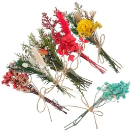 Декоративные цветы 6 шт. завод мини-сушеный букет декора DIY естественная подарочная коробка для поделок
