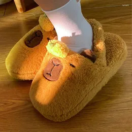 Tofflor capybara härliga mjuka kvinnor inomhus hem varma vinter roliga skor för damer