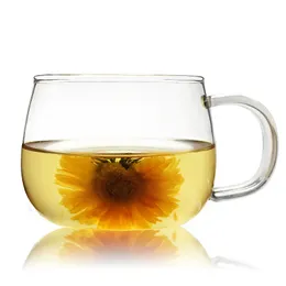 كوب شاي الزهور المصنوع من الزجاج المصنوع يدويًا مع مقبض كوب كوب كوب كوب الإفطار بالجملة