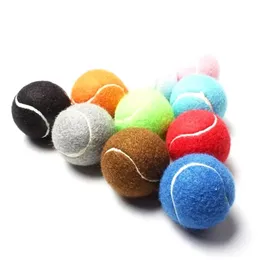 6pcs Paket Renkli Tenis Topları Starndard 2.5inch Polyester Felt Dog Tenis Topları Gelişmiş Eğitim Tenis Ball 240322