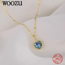 Pendants WOOZU 925 Sterling Silver Romantic Love Heart Blue CZ Zircon Pendant Necklaces For Women Plated 14k Gold Exquisite Jewelry Gift