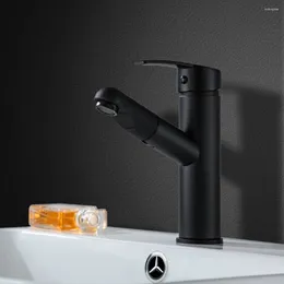 Badrumsvaskar kranar TP 8013 Rostfritt stål Pulltyp och kallt kranbassäng tvättställe roterande svart toalett utdragbar