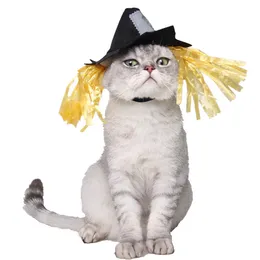 Articoli per animali domestici Fabbrica di gioielli per la notte di Halloween Cappello per cani di carnevale per le vacanze di Halloween Nessun cappello per gatti spaventapasseri di stoffa