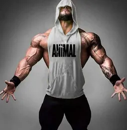 Marka Hayvan Fitness Stringer Hoodies kas gömlek Vücut geliştirme giyim spor salonları tank topları Erkekler Sporting kolsuz T Shirts295W9803573