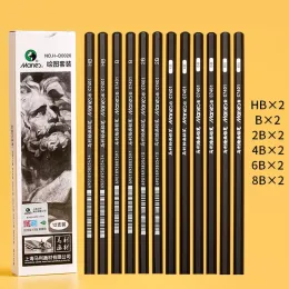 12 pezzi/box sketching professionale penna hb b 2b 3b 4b 5b 6b 7b 8b 12b 14b art disegnare matite di piombo in legno core di grafite specifiche
