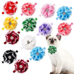 Dog Apparel 10PCS Spring/Summer Pet Flower Bow Tie Small And Medium-sized Cat Adjustable Collar Fashion Bulk Grooming Accessories