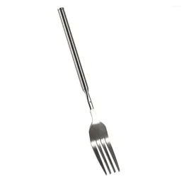 FORCHI FORCHIO ACCIAIO AUSCITALE FORCHIO REGOLABILE 23-63 cm batteri non ruggine perfetti per verdure per cani barbecue