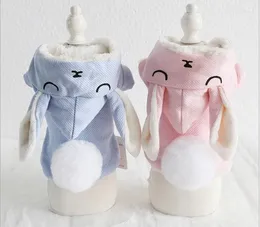 Hundekleidung Kleidung für Hunde Haustier Winter warme Schichten Jacken Katze Down Parkas Chihuahua Teddy Pink Blau