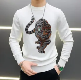 2021 Hot Anti-Wrinkle Fashion Men's Sweater Rhine Shining Tiger Exquisite Pullover Personlighet3098753