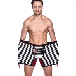 Underpants 4 pezzi/lotto più dimensioni grasso Uomini di alta qualità uomini grandi mutandine maschi cotone lunghi boxer per uomo biancheria intima