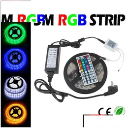 LED -Streifen 5m 5050SMD RGB Strip Light Flexible wasserdichte DC12V IP65 MTI -Farbe mit 44 Taste IR Remote Drop -Lieferlicht Beleuchtung HO DHOBD