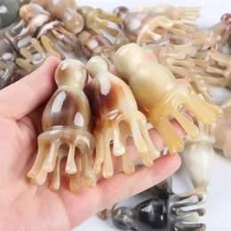 Factory wholesale horn head massage comb horn octopus massage comb octopus type comb point stick horn comb