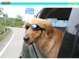 Hundkläder husdjursglasögon fällbara stora vattentäta skyddande UV -solglasögonprodukter
