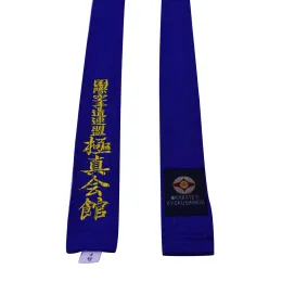 Produkte Kyokushin Karate Belt Karate Kyokushinkai -Gürtel Japan Tokyodo -Gürtel mit maßgeschneiderten gestickten Wörtern Black Belt Karate