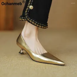 Kleidungsschuhe Ochanmeb Frauen echte Lederkätzchen Heels Golden Silver beige Punkte Zehen flache Pumpen Damen Büroarbeit Frühling 33-40