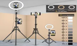 Штативные штативы штативы для мобильного телефона с кольцевой лампой Camara Selfie Light Stand Cranket Makeup Makeup Video Live PO Studio3893614