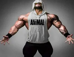 Marke Animal Fitness Stringer Hoodies Muscle Shirt Bodybuilding Kleidung Fitnessstudios Tanktops Herren mit ärmellosen T -Shirts295W3885403