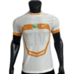 Soccer Jerseys Men's Tracksuits 2324 Ivory Coast Away Jersey Player Version Football Game Printable