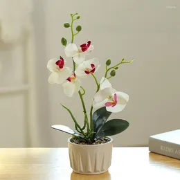 Dekorative Blumen zwei Gabeln 5 Phalaenopsis Bonsai Grüne Pflanzensimulation Topf Keramik Künstliche Heim in Indoor -Bürodekoration