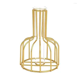 Vase Vase Nor-Dic Creative Glass Flower Arranchide Living Room Decoration TV Cabinet Desktop Iron Dry Hydroponic Decor