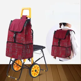 Aufbewahrungstaschen tragbare Einkaufswagen mit Sitzklappen -Rucksackbeutel Trolley Cart Big 21 cm Räder für Camping Martket Kauf