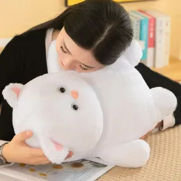 Biała kota pluszowa zabawka miękka nadziewana poduszka zwierzęta tłuste kotka lalka plusza puszysta przytulająca poduszka sofa ornament pluszowy kota zabawka