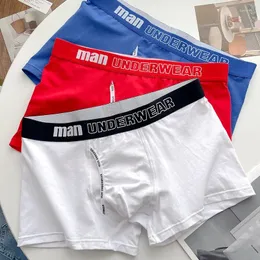 Cuecas masculinas boxeadores de algodão Sleep Sleep Men calcies shorts confortáveis de tamanho boxer de tamanho 4xl