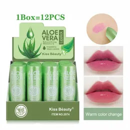 1224PCS Hurtowe usta Comestics Zestaw Aloe Vera Lip Balm Sexy Lipstick Argan Olej