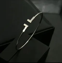 Designer -Armbänder Pulsera Mujer Neue Qualität Mode Frauen Schmuck Edelstahl Open Manschette Doppelarmband Silber Roségold für Geschenk 2024
