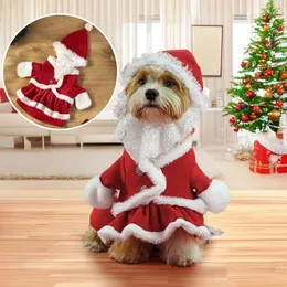 Dog Christmas Apparel: Festive Pet Winter Outfit, Fun Santa Design