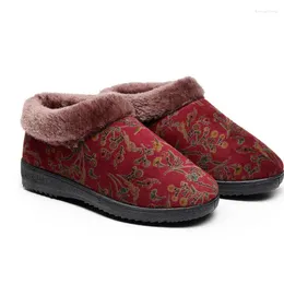 Sapatos casuais Mulheres de inverno Snow Appelance