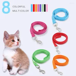 Collari per cani Il guinzaglio in nylon per piccolo medio che si allena addestramento per camminato per compagni di gatto catto di gatto per gatti da gatto per gatti