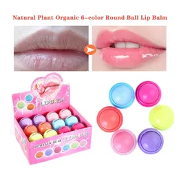 Оптовая 24pcs Ball Lip Balm Makeup Baby Romantic Bear Lips Mite Fruity Fruith Frush Libalm Eutritious Care Cosmetic Lot 240321