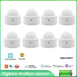 Kläder Tuya Smart Life SmartThings Ewelink Zigbee Motion Sensor Human Body Pir Sensor Infraröd närvaro Sensor Support Alexa Google Hub