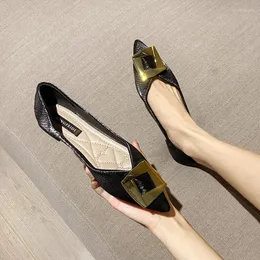Sapatos casuais de tamanho grande 2024 moda de primavera pontiaguda de metal raso de metal quadrado solar sola grávida
