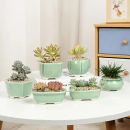 Vases China Yixing Flower Pots Succulent Plants Micro Landscape Ge Kiln Celadon Home Decoration Vase Desktop Green Plant