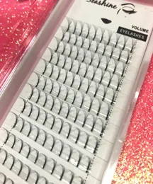 Wentylatory całej objętości 6D y ELLASH ELLASH 6 KLUSTERS 010 Grubość Indywidualne rzęsy wentylatory Lash South Korean Silk Lashes9751825